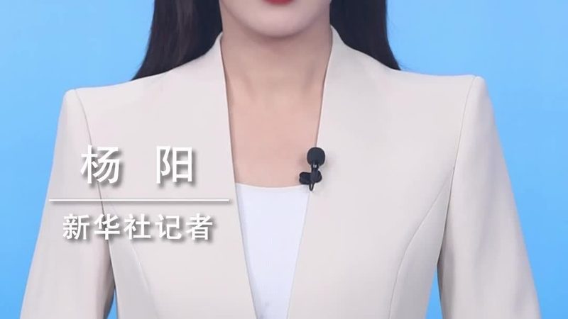 软件测试用例编写：构建稳定可靠的软件基石
